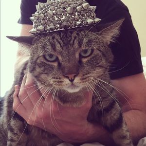 Meet your Posher, Lindsey